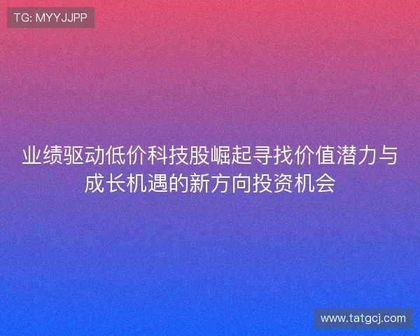 业绩驱动低价科技股崛起寻找价值潜力与成长机遇的新方向投资机会